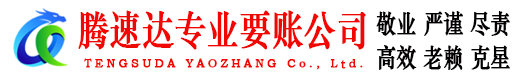 丰顺腾速达要债公司